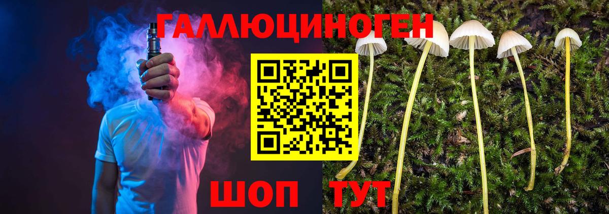 Псилоцибиновые грибы Psilocybine cubensis Ярцево