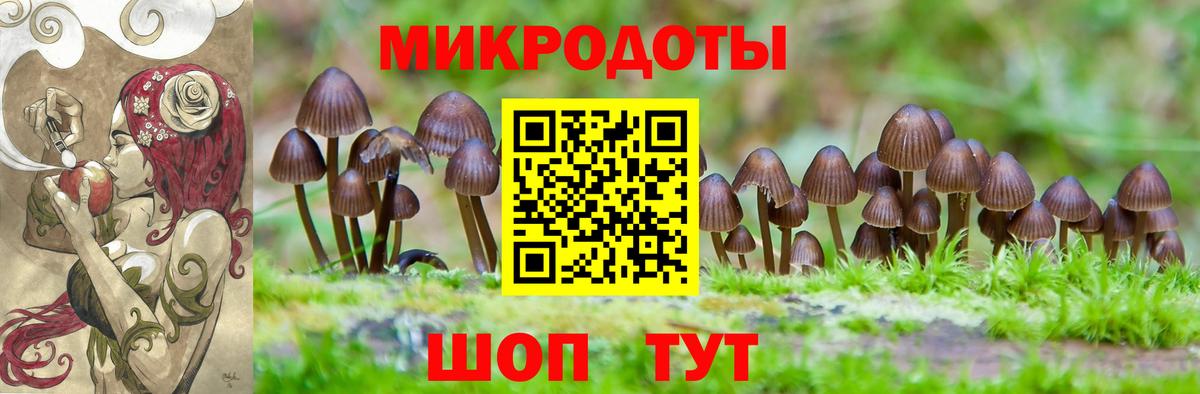Галлюциногенные грибы прущие грибы  Галлюциногенные грибы мухоморы  Вход с VPN  Ярцево 